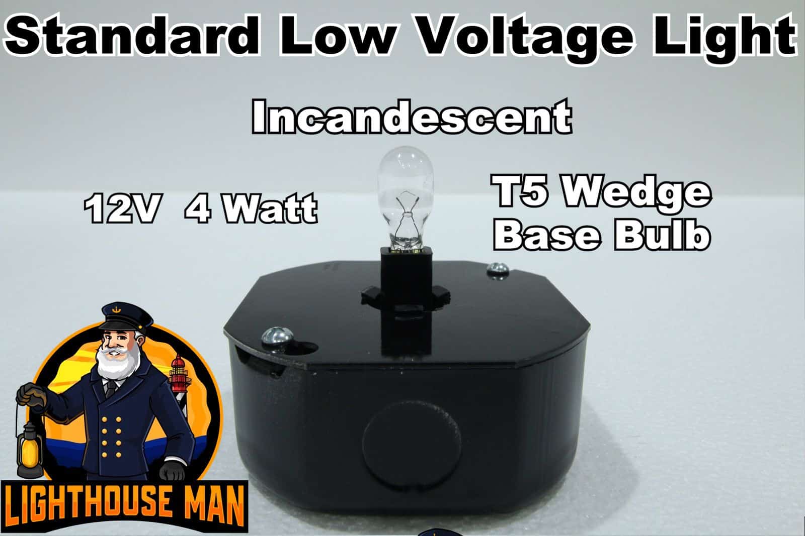 Standard Low Voltage Light with Regular Bulb